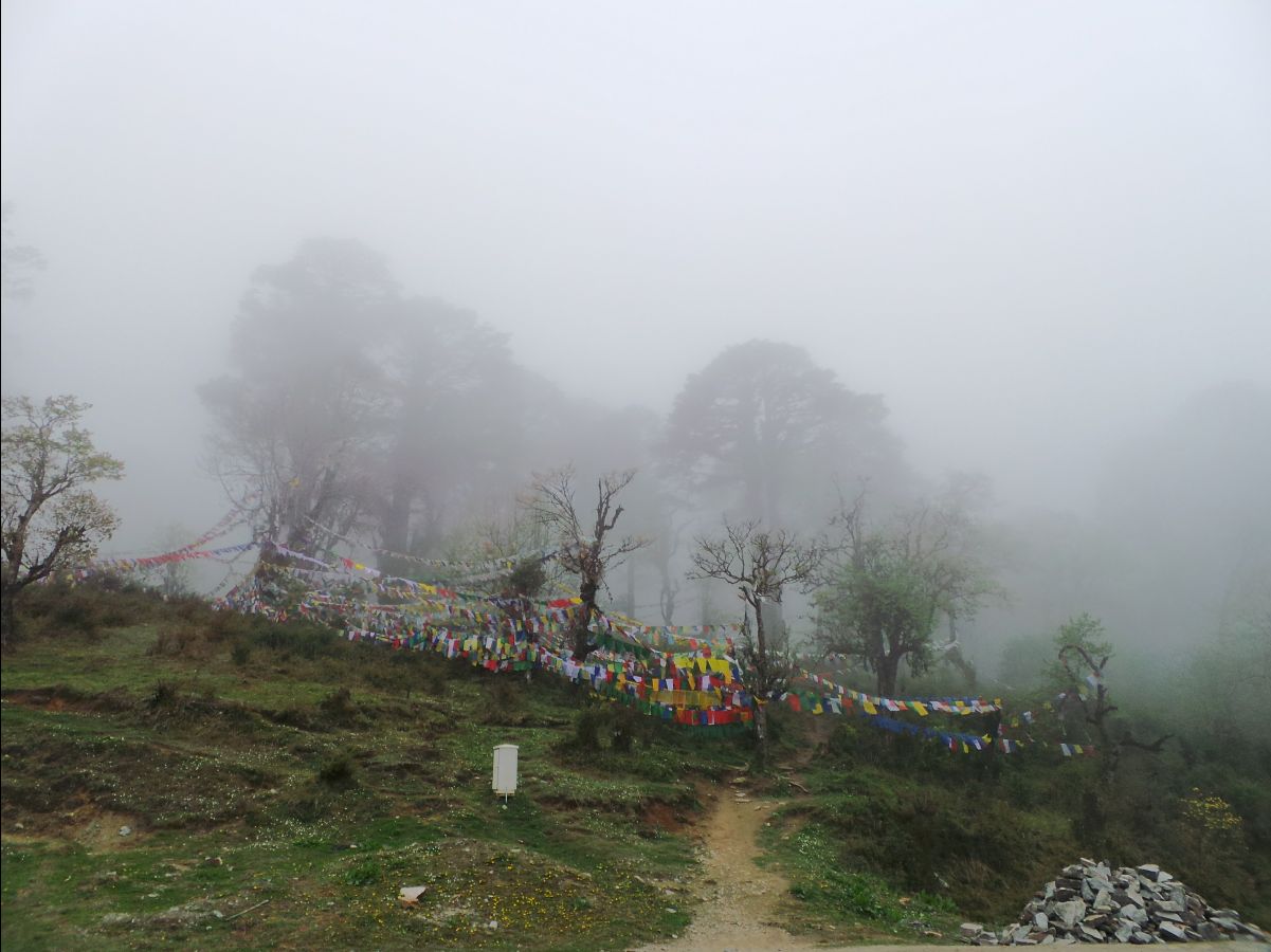 Dochula Pass01